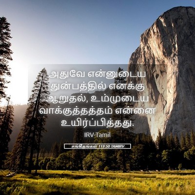 Picture 05 - சங்கீதங்கள் 119:50 TAMIRV - அதுவே என்னுடைய - Bible Verse Picture