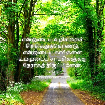 Picture 05 - சங்கீதங்கள் 119:59 TAMIRV - என்னுடைய வழிகளைச் - Bible Verse Picture