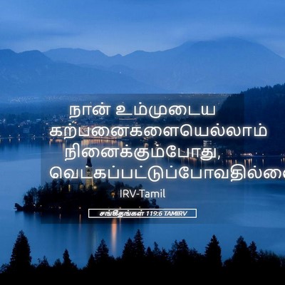 Picture 05 - சங்கீதங்கள் 119:6 TAMIRV - நான் உம்முடைய - Bible Verse Picture