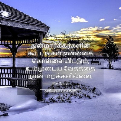 Picture 05 - சங்கீதங்கள் 119:61 TAMIRV -  - Bible Verse Picture