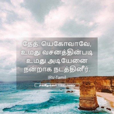 Picture 05 - சங்கீதங்கள் 119:65 TAMIRV - தேத். யெகோவாவே, - Bible Verse Picture