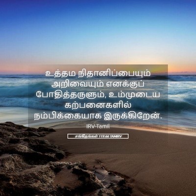 Picture 05 - சங்கீதங்கள் 119:66 TAMIRV - உத்தம - Bible Verse Picture