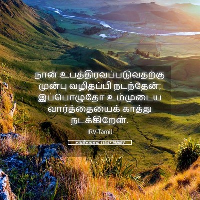 Picture 05 - சங்கீதங்கள் 119:67 TAMIRV - நான் - Bible Verse Picture