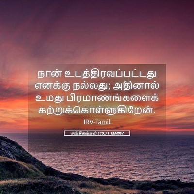 Picture 05 - சங்கீதங்கள் 119:71 TAMIRV - நான் - Bible Verse Picture