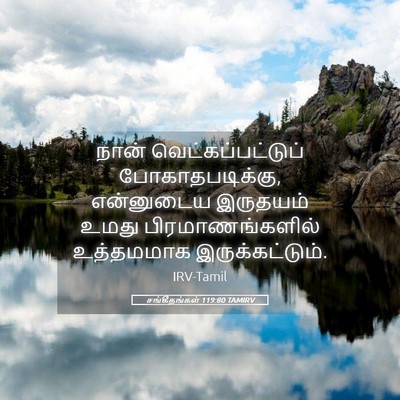 Picture 05 - சங்கீதங்கள் 119:80 TAMIRV - நான் - Bible Verse Picture