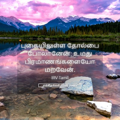 Picture 05 - சங்கீதங்கள் 119:83 TAMIRV - புகையிலுள்ள - Bible Verse Picture