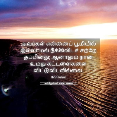 Picture 05 - சங்கீதங்கள் 119:87 TAMIRV - அவர்கள் என்னைப் - Bible Verse Picture