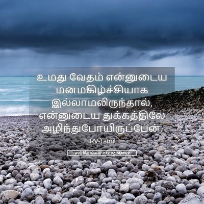 Picture 05 - சங்கீதங்கள் 119:92 TAMIRV - உமது வேதம் - Bible Verse Picture
