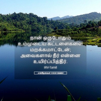 Picture 05 - சங்கீதங்கள் 119:93 TAMIRV - நான் ஒருபோதும் - Bible Verse Picture