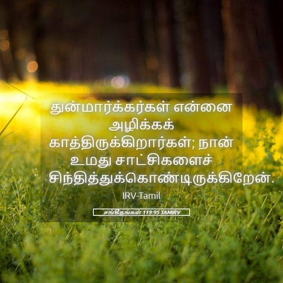 Picture 05 - சங்கீதங்கள் 119:95 TAMIRV - துன்மார்க்கர்கள் - Bible Verse Picture