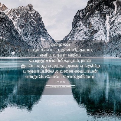 Picture 05 - சங்கீதங்கள் 12:5 TAMIRV - ஏழைகள் - Bible Verse Picture