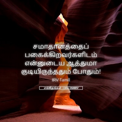 Picture 05 - சங்கீதங்கள் 120:6 TAMIRV - சமாதானத்தைப் - Bible Verse Picture