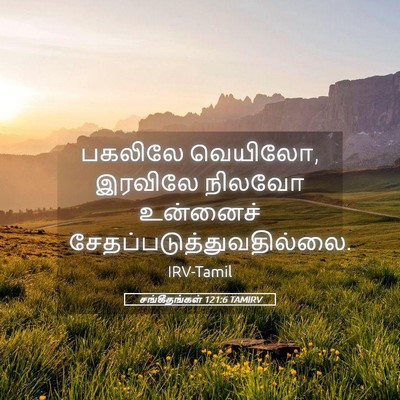 Picture 05 - சங்கீதங்கள் 121:6 TAMIRV - பகலிலே வெயிலோ, - Bible Verse Picture