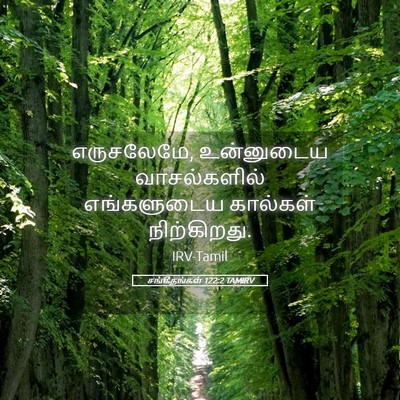 Picture 05 - சங்கீதங்கள் 122:2 TAMIRV - எருசலேமே, - Bible Verse Picture
