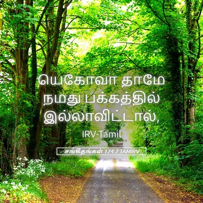 Picture 05 - சங்கீதங்கள் 124:2 TAMIRV - யெகோவா தாமே நமது - Bible Verse Picture
