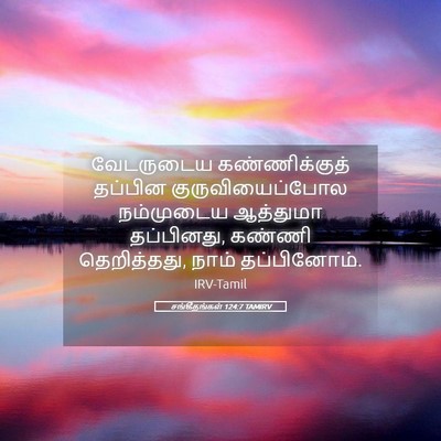 Picture 05 - சங்கீதங்கள் 124:7 TAMIRV - வேடருடைய - Bible Verse Picture