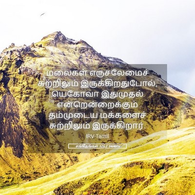 Picture 05 - சங்கீதங்கள் 125:2 TAMIRV - மலைகள் எருசலேமைச் - Bible Verse Picture