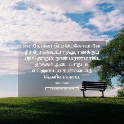 Picture 05 - சங்கீதங்கள் 13:3 TAMIRV - என் தேவனாகிய - Bible Verse Picture