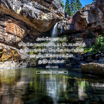 Picture 05 - சங்கீதங்கள் 135:1 TAMIRV - அல்லேலூயா, - Bible Verse Picture