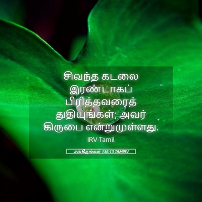 Picture 05 - சங்கீதங்கள் 136:13 TAMIRV - சிவந்த கடலை - Bible Verse Picture