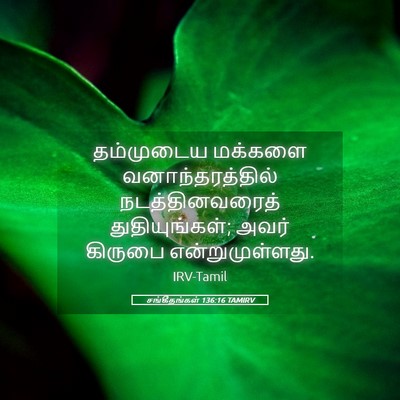 Picture 05 - சங்கீதங்கள் 136:16 TAMIRV - தம்முடைய மக்களை - Bible Verse Picture