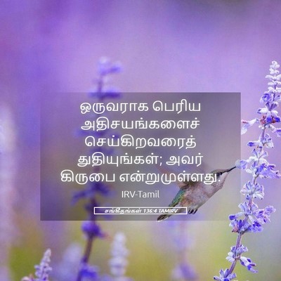 Picture 05 - சங்கீதங்கள் 136:4 TAMIRV - ஒருவராக பெரிய - Bible Verse Picture