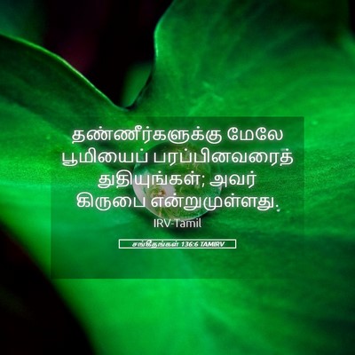 Picture 05 - சங்கீதங்கள் 136:6 TAMIRV - தண்ணீர்களுக்கு - Bible Verse Picture