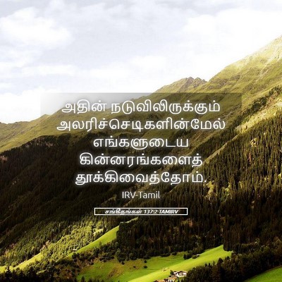 Picture 05 - சங்கீதங்கள் 137:2 TAMIRV - அதின் - Bible Verse Picture