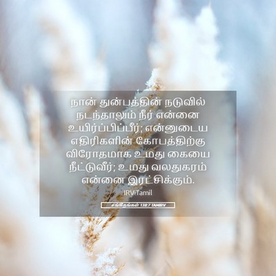 Picture 05 - சங்கீதங்கள் 138:7 TAMIRV - நான் துன்பத்தின் - Bible Verse Picture