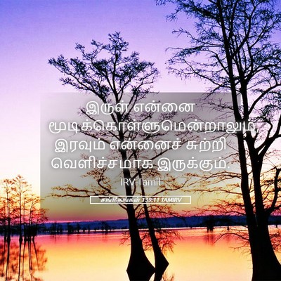 Picture 05 - சங்கீதங்கள் 139:11 TAMIRV - இருள் என்னை - Bible Verse Picture