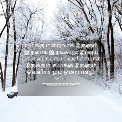 Picture 05 - சங்கீதங்கள் 139:12 TAMIRV - உமக்கு மறைவாக - Bible Verse Picture