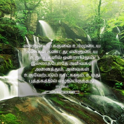 Picture 05 - சங்கீதங்கள் 139:16 TAMIRV - என்னுடைய கருவை - Bible Verse Picture