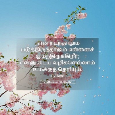 Picture 05 - சங்கீதங்கள் 139:3 TAMIRV - நான் நடந்தாலும் - Bible Verse Picture