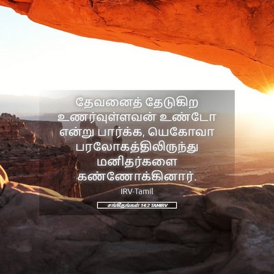 Picture 05 - சங்கீதங்கள் 14:2 TAMIRV - தேவனைத் தேடுகிற - Bible Verse Picture