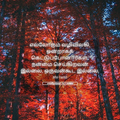 Picture 05 - சங்கீதங்கள் 14:3 TAMIRV - எல்லோரும் - Bible Verse Picture