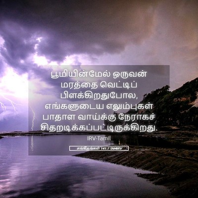 Picture 05 - சங்கீதங்கள் 141:7 TAMIRV - பூமியின்மேல் - Bible Verse Picture