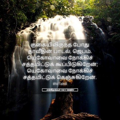 Picture 05 - சங்கீதங்கள் 142:1 TAMIRV - குகையிலிருந்த - Bible Verse Picture