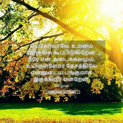 Picture 05 - சங்கீதங்கள் 142:5 TAMIRV - யெகோவாவே, உம்மை - Bible Verse Picture