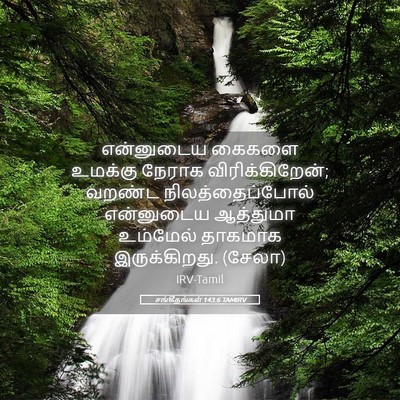 Picture 05 - சங்கீதங்கள் 143:6 TAMIRV - என்னுடைய கைகளை - Bible Verse Picture