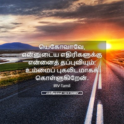 Picture 05 - சங்கீதங்கள் 143:9 TAMIRV - யெகோவாவே, - Bible Verse Picture