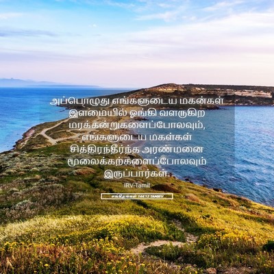 Picture 05 - சங்கீதங்கள் 144:12 TAMIRV - அப்பொழுது - Bible Verse Picture