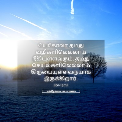 Picture 05 - சங்கீதங்கள் 145:17 TAMIRV - யெகோவா தமது - Bible Verse Picture