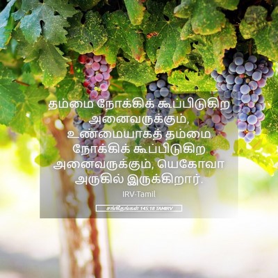 Picture 05 - சங்கீதங்கள் 145:18 TAMIRV - தம்மை நோக்கிக் - Bible Verse Picture