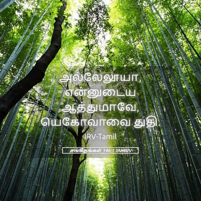 Picture 05 - சங்கீதங்கள் 146:1 TAMIRV - அல்லேலூயா, - Bible Verse Picture
