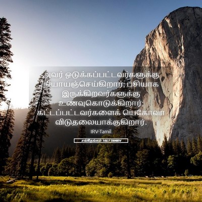 Picture 05 - சங்கீதங்கள் 146:7 TAMIRV - அவர் - Bible Verse Picture