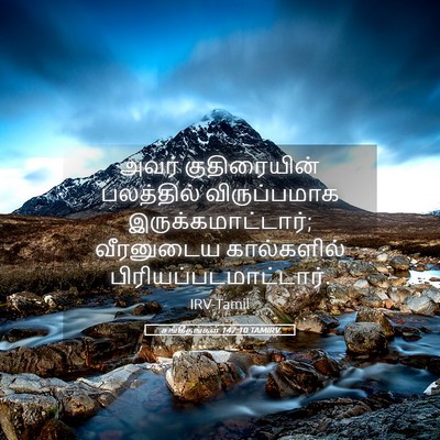 Picture 05 - சங்கீதங்கள் 147:10 TAMIRV - அவர் குதிரையின் - Bible Verse Picture
