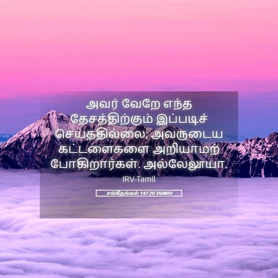 Picture 05 - சங்கீதங்கள் 147:20 TAMIRV - அவர் வேறே எந்த - Bible Verse Picture