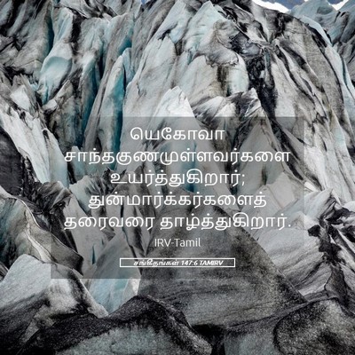 Picture 05 - சங்கீதங்கள் 147:6 TAMIRV - யெகோவா - Bible Verse Picture