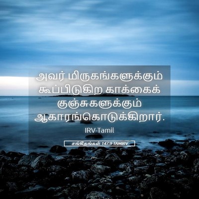 Picture 05 - சங்கீதங்கள் 147:9 TAMIRV - அவர் - Bible Verse Picture