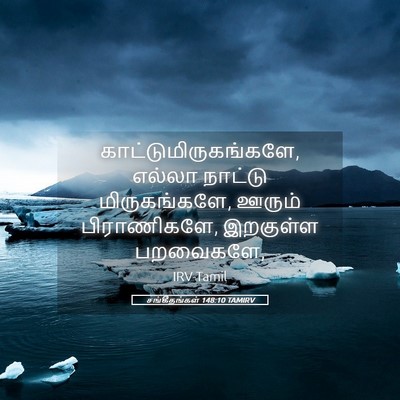 Picture 05 - சங்கீதங்கள் 148:10 TAMIRV - காட்டுமிருகங்களே, - Bible Verse Picture